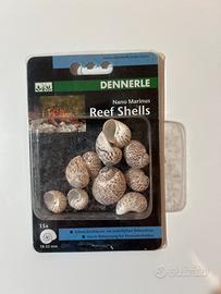 Conchiglie Dennerle Reef Shells Nuove