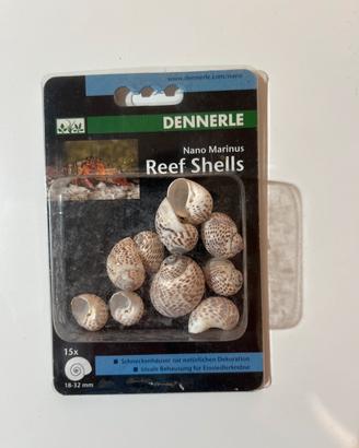 Conchiglie Dennerle Reef Shells Nuove