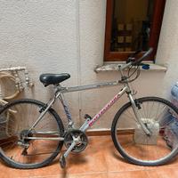 Bicicletta Bottecchia