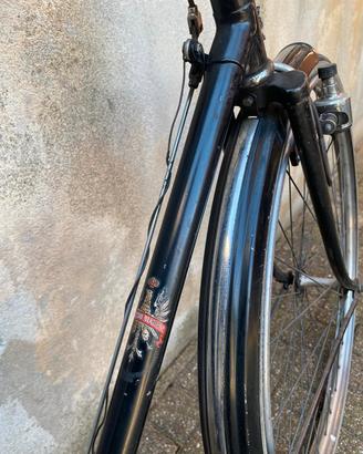 Bianchi Lusso 