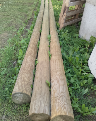Pali in pino