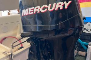 Motore Mercury efi 115