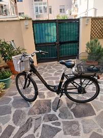bicicletta elettrica 