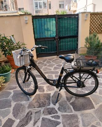 bicicletta elettrica 
