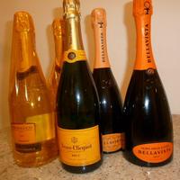 Champagne e Vini pregiati  in  1 Blocco Unico  🍾