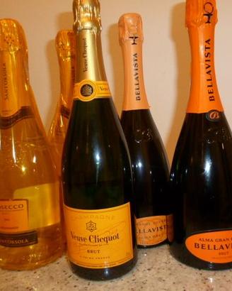 Champagne e Vini pregiati  in  1 Blocco Unico  🍾