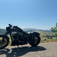 Harley Davidson Sportster 883 Iron