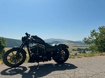 Harley Davidson Sportster 883 Iron