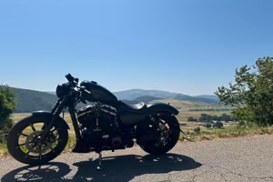 Harley Davidson Sportster 883 Iron