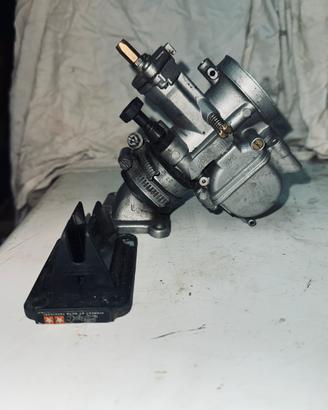 pvk 24  +coll