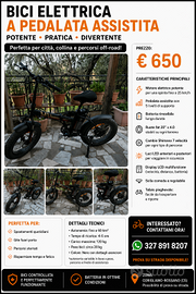 Bici elettrica