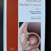 Superficial Bladder Cancer – Pagano & Fair –
