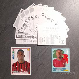 Super tematica LEAO / n.2 Rookie