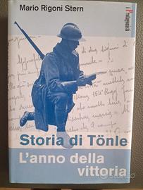 Storia di Tönle - L'anno della vittoria
