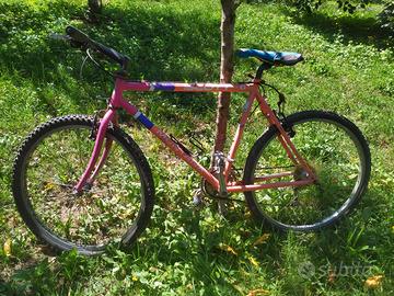 bicicletta 