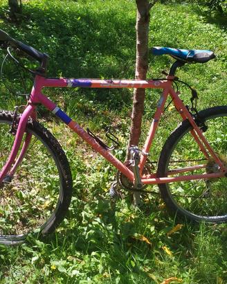 bicicletta 