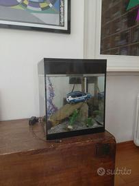 acquario