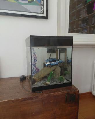 acquario