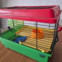 gabbia per criceti con accessori