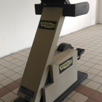 Steprace technogym hc300