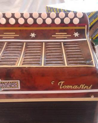 Organetto 8 bassi TOMASINI ( LORETO)