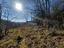 Immagine 27