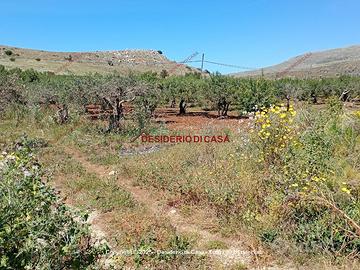 Terreno, Custonaci.