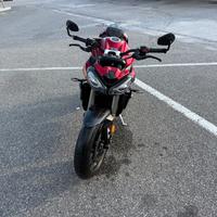 Triumph Street Triple - 2023