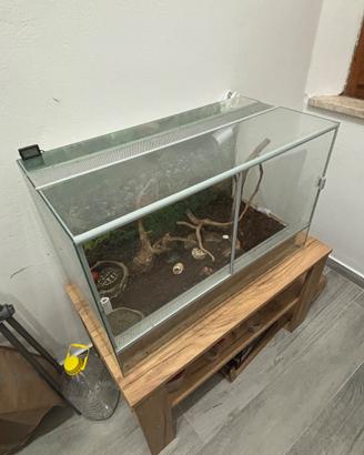 Terrario