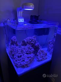 Acquario marino completo Amtra 90lt con mobile