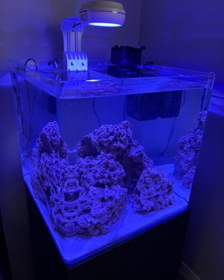 Acquario marino completo Amtra 90lt con mobile