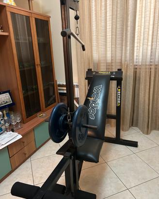 Palestra
