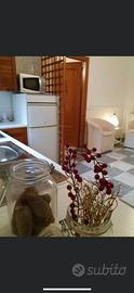 Apartamento abitabile e arredato in Sava