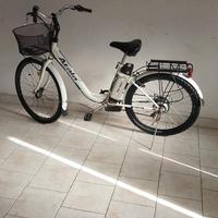bici elettrica 