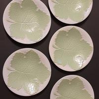 Galvani Lotto 5 piatti foglia verde