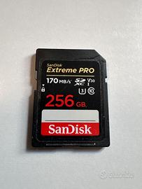 Sandisk 256GB