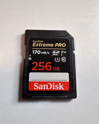 Sandisk 256GB