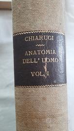 Istituzioni di anatomia dell’uomo Giulio Chiarugi
