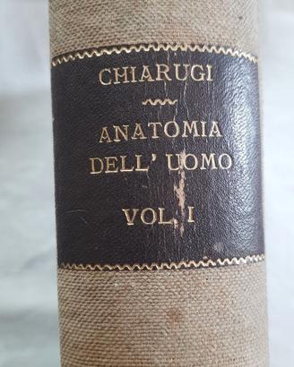 Istituzioni di anatomia dell’uomo Giulio Chiarugi