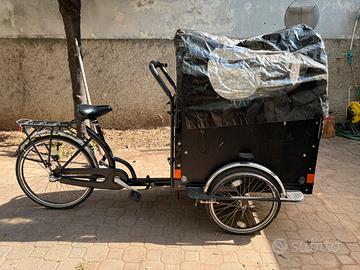 Cargo Bike trasporto 4 bambini food track