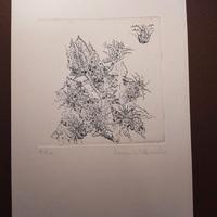 Incisione calcografica di R. D'Alessandro