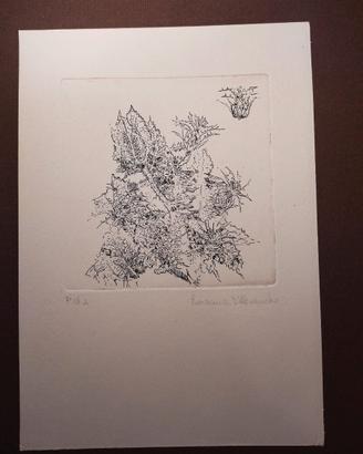 Incisione calcografica di R. D'Alessandro