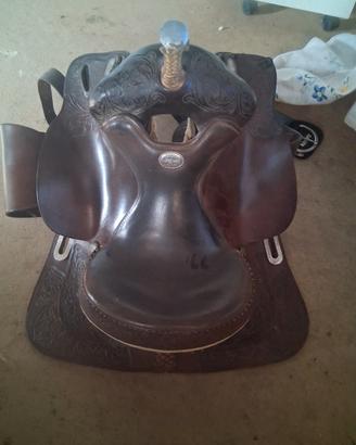 sella billy cook