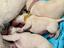 Immagine 5