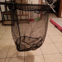 Testa guadino ignesti 