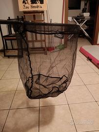 Testa guadino ignesti 