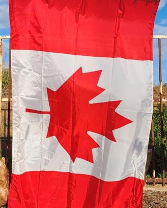 Canadese Bandiera (Alta qualità) Oh Canada!