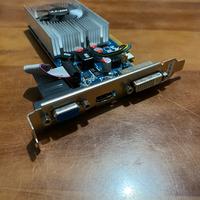 Scheda video GeForce GT 430