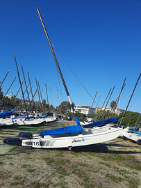 Catamarano Hobie Cat 16 race (al pari del nuovo)