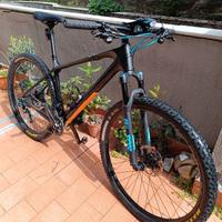 MTB Focus Raven L